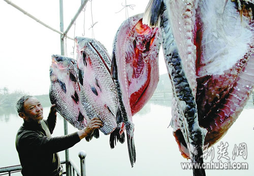 民间文化：鄂州渔民春节腌鱼