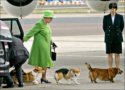 脚下总有狗狗跟前跟后的英国女王伊莉莎白二世。（图取自网路）
